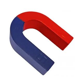 Magnet