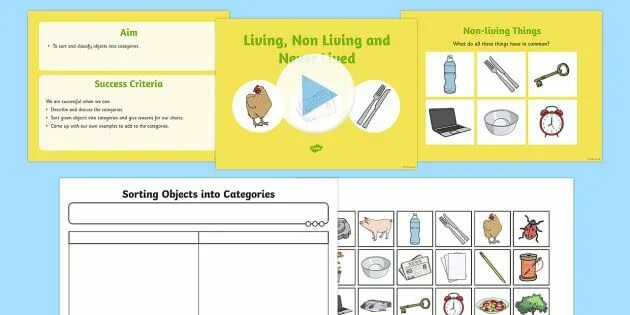 What sort of things do you like. Difference between living and non living things. living things around us. living non living once alive things worksheet. living things pics.