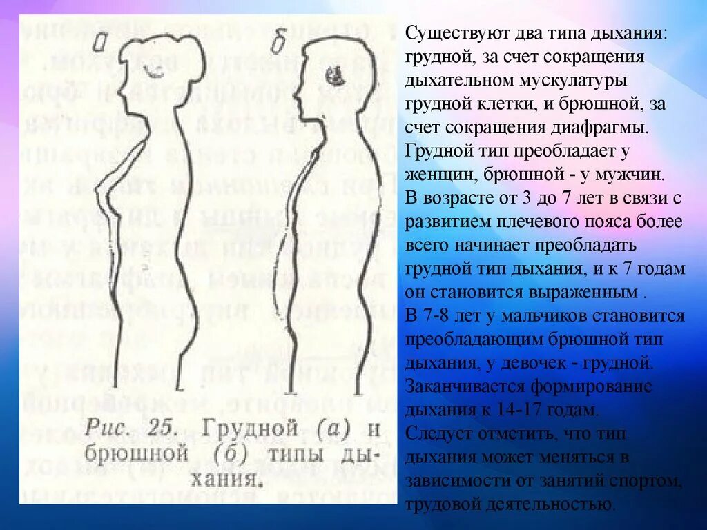 Какой тип дыхания. Типы дыхания схема. Грудной и брюшной Тип дыхания. Типы дыхания грудной брюшной и смешанный. Женский Тип дыхания.