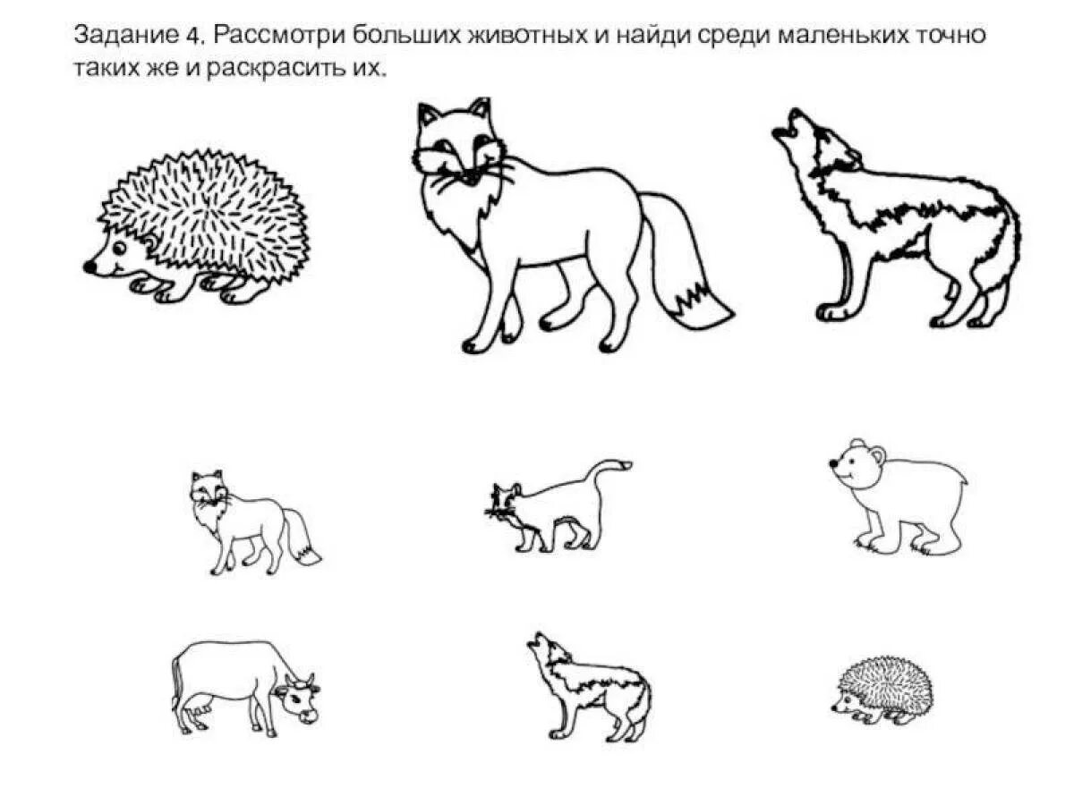 Дикие животные весной задания. Животные задания для детей. Животные задания для дошкольников. Дикие животные задания для детей. Дикие и домашние животные задания для дошкольников.