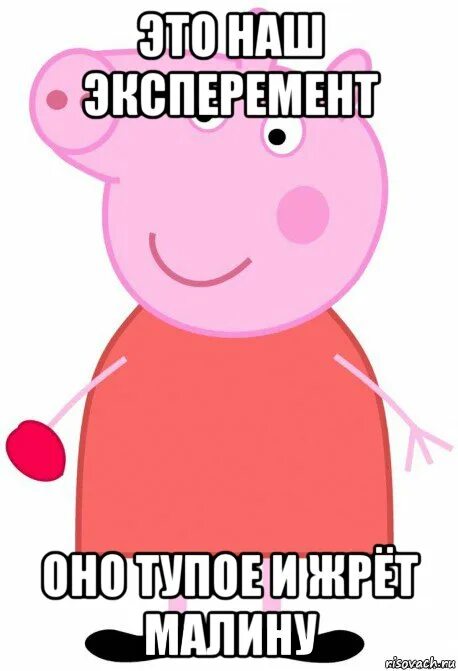 Свинья глупой. Свинка Пеппа мемы. Мемы про свинку Пеппу. Свинка Пеппа тупые мемы.