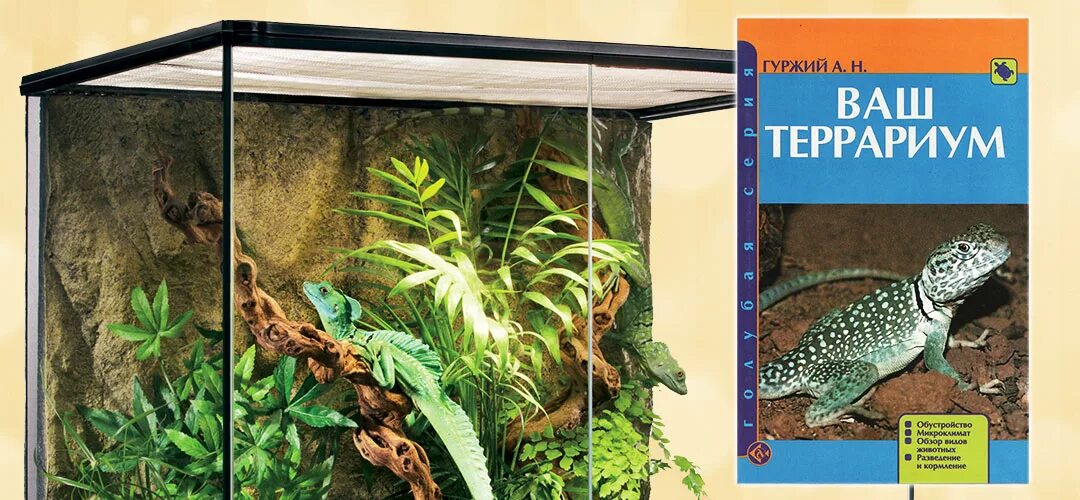 Террариум книги. Террариум книги. Террариум книга. Террариум книга. Террариум для пауков.