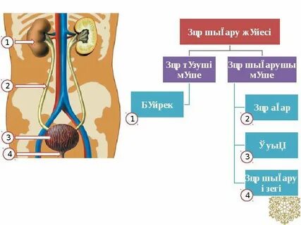 Есікті жалайтын порно видеоларды қараңыз