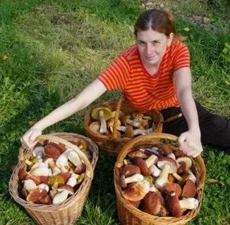 Как зарабатывать в деревне