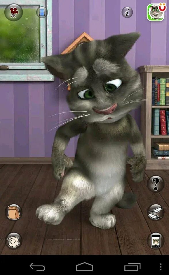 Играть говорящий животные. Игра Tom Cat. Talking Tom Cat 2. Talking Tom Cat. Talking Tom Cat 2 2011.