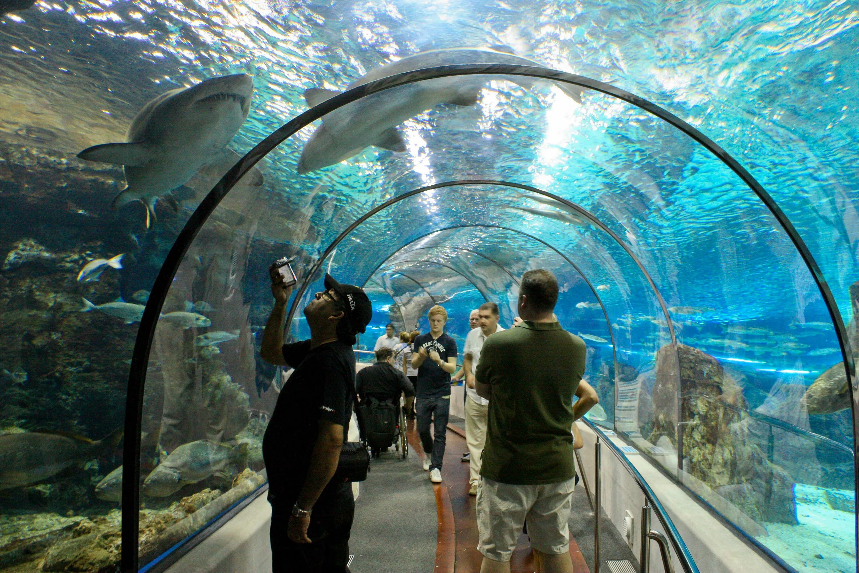 Океанариум в Испании Барселона. Океанариум Georgia Aquarium. Барселонский аквариум Испания. Гранд аквариум Хургада.