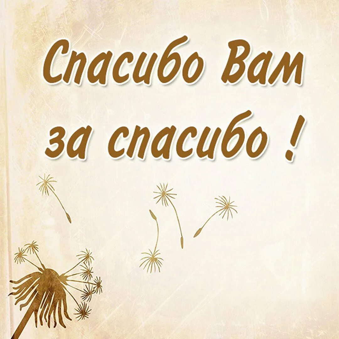 Что делать благодарить. Спасибо за настроение. Открытки с благодарностью. Спасибо за спасибо. Спасибо за комплимент очень приятно.