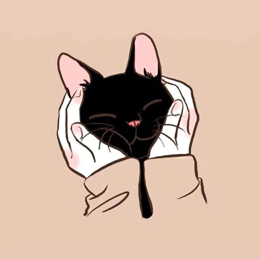 Аватарка котика лайка