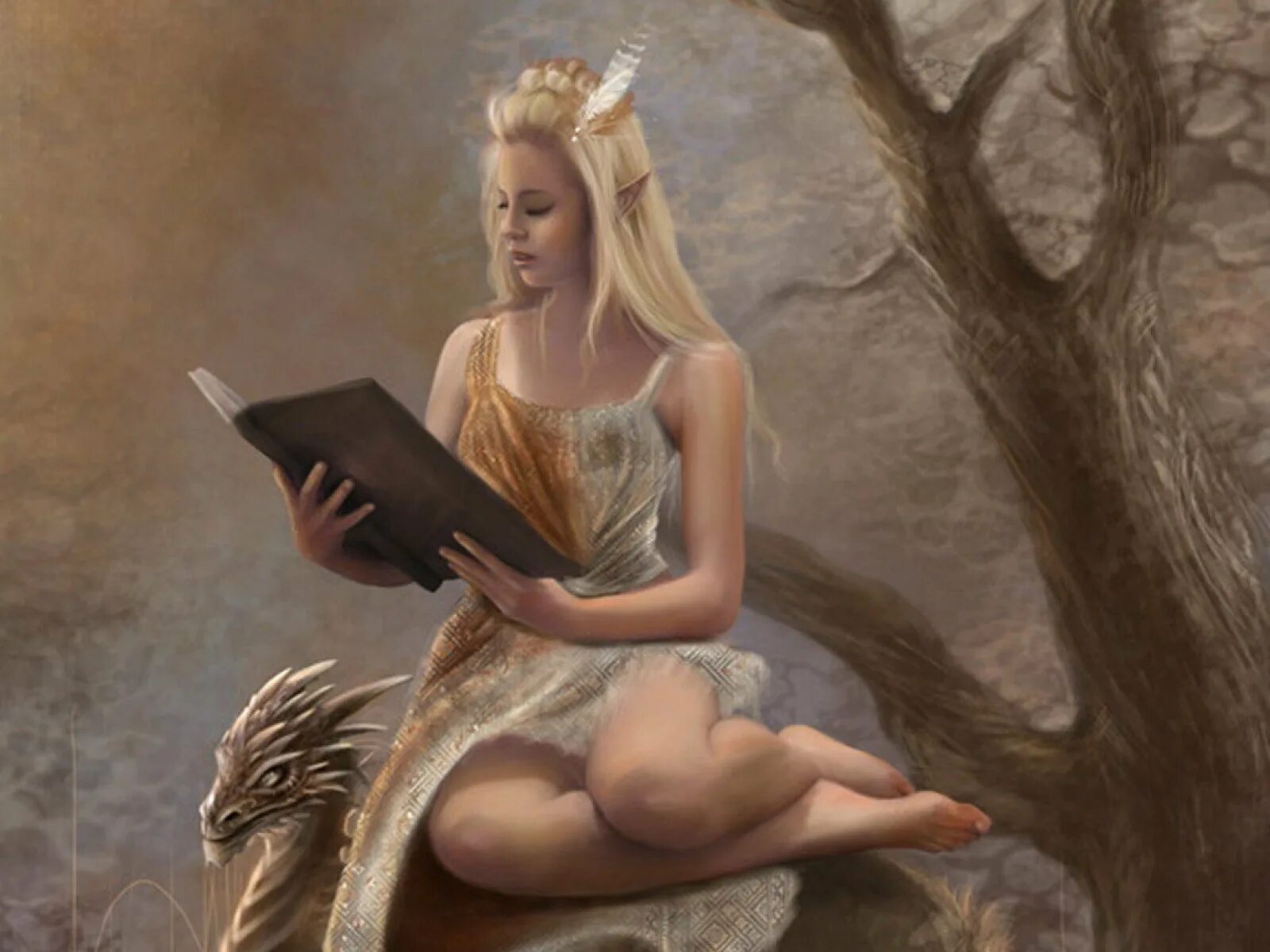 Волшебные эльфы. Гильдия магов фэнтези. Изольда королева фей арт. Эрестор эльф. Девушка библиотекарь фэнтези.