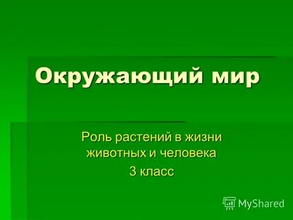 3 том жизни растений