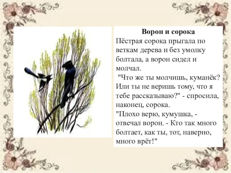 Сорока и ворона рассказ. Рассказ Ушинского ворон и сорока. К. Ушинского "ворон и сорока". Рассказы Ушинского ворона и сорока.