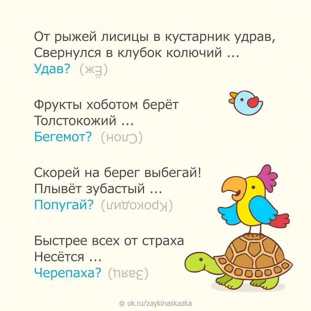 Загадки для детей 4-5 лет с ответами с подвохом. Загадки с подвохом с ответами смешные для детей. Загадки с подвохом с ответами смешные в рифму. Смешные загадки с подвохом для детей 6 лет. 5 загадок вопросов