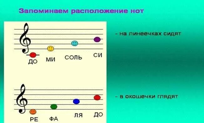 Как запомнить ноты. Ми соль си на нотном стане. как запомнить ноты на нотном стане для начинающих. расположение нот на нотном стане. выучить нотный стан.