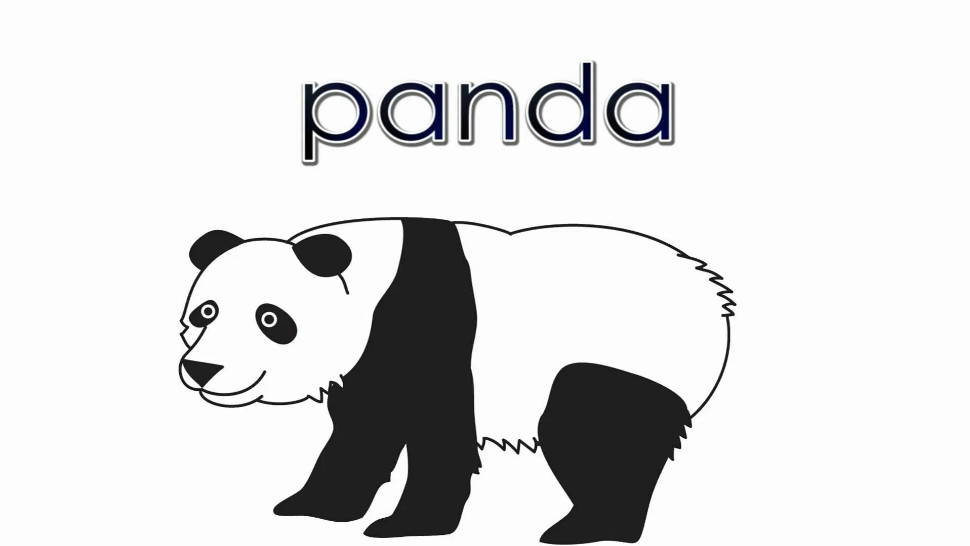 Панда карточки для детей. Панда на английском. Карточки по английскому Панда. Карточки с животными Панда.