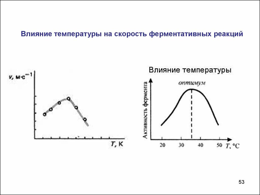 Изучите график зависимости выработки фермента. График зависимости ферментативной реакции от PH. График зависимости скорости ферментативной реакции от температуры. Влияние температуры на ферментативную реакцию. Механизм влияния РН на скорость ферментативной реакции.