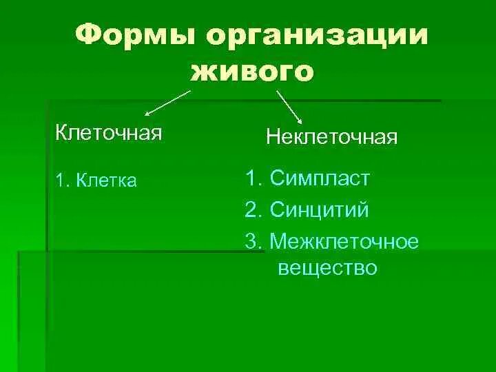 Формы живого биология. Формы организации живого. Формы организации живого вещества. Неклеточные формы организации живого. Формы организации живой материи.