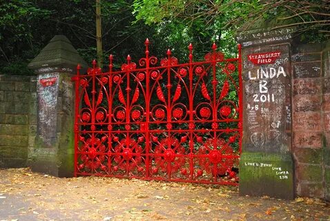 Strawberry fields