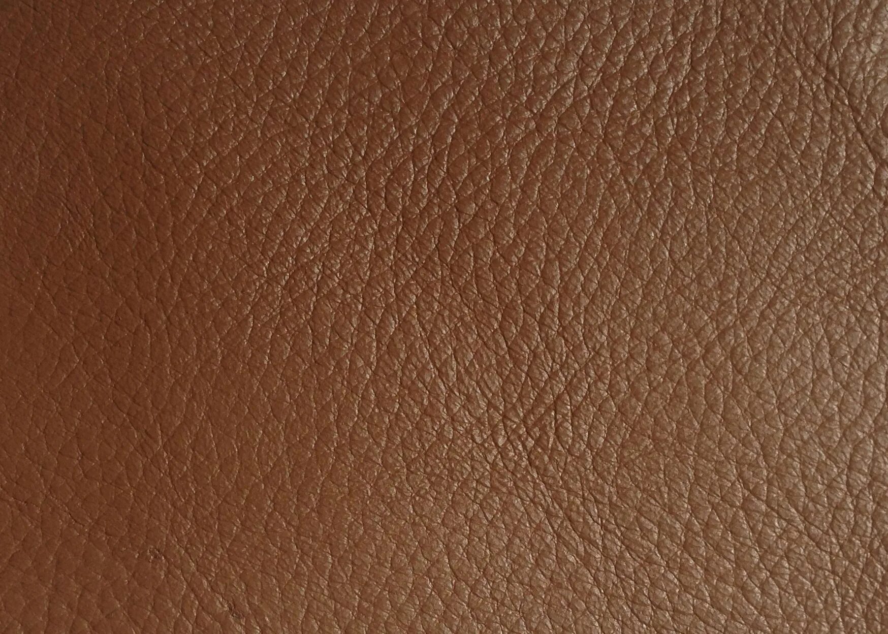 Текстура кожи. Коричневая кожа. Обои кожа. Pattern кожа. Leather