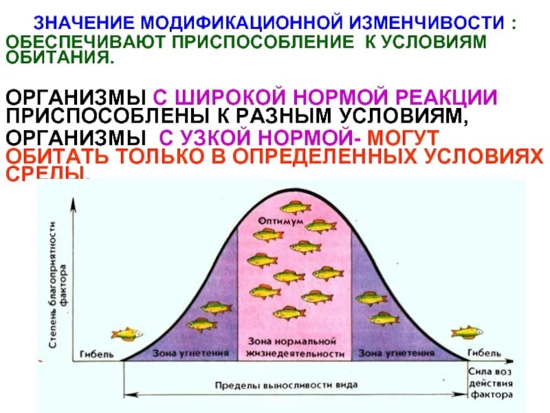 1 изменение в пределах нормы реакции. Норма реакции график. Пределы проявления модификационной изменчивости. Кривая норма реакции. Норма реакции модификационной изменчивости.