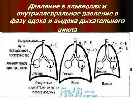 Давление воздуха в легких при вдохе