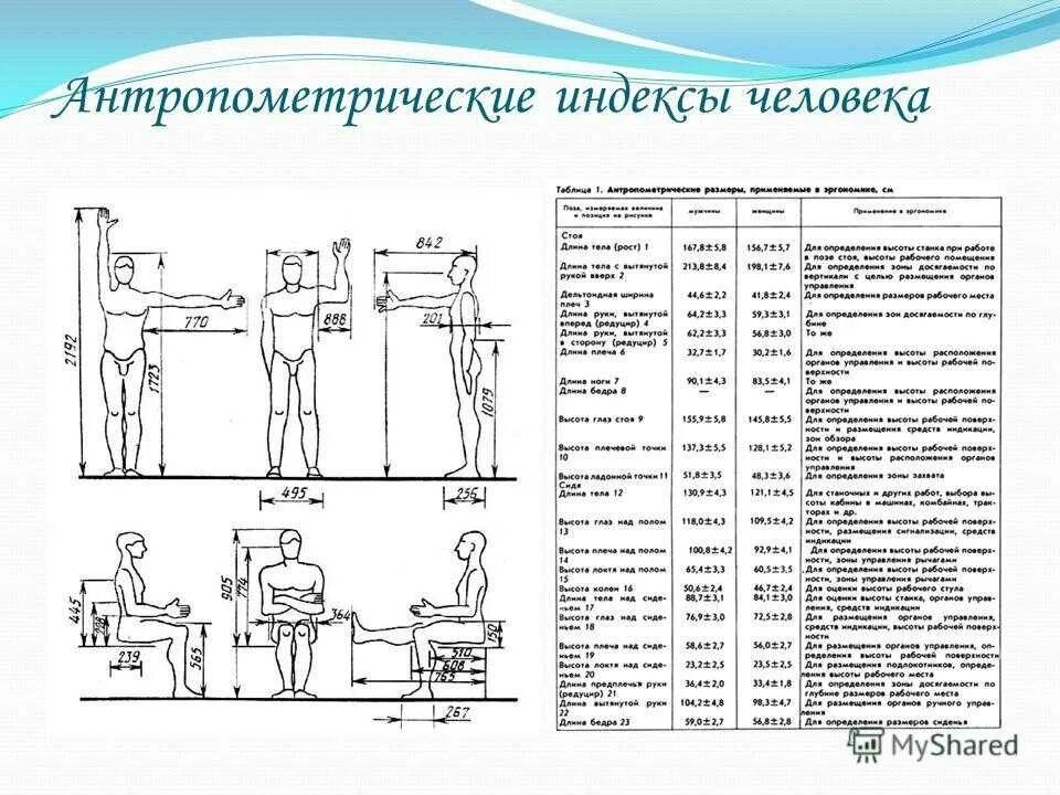 Антропометрия это. Антропометрические параметры дошкольников. Антропометрический индекс метод измерения. Измерение размеров тела антропометрические измерения. Антропометрические показатели человека таблица.