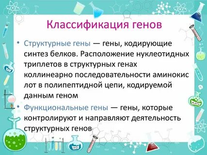 Структурные гены это в биологии