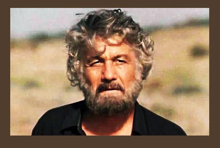 Будулай актер. Михай волонтир цыган. михай волонтир будулай.