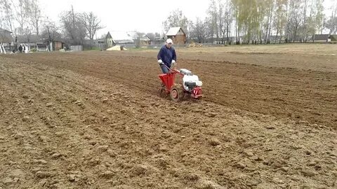 Посадка картофеля мотоблоком мтз