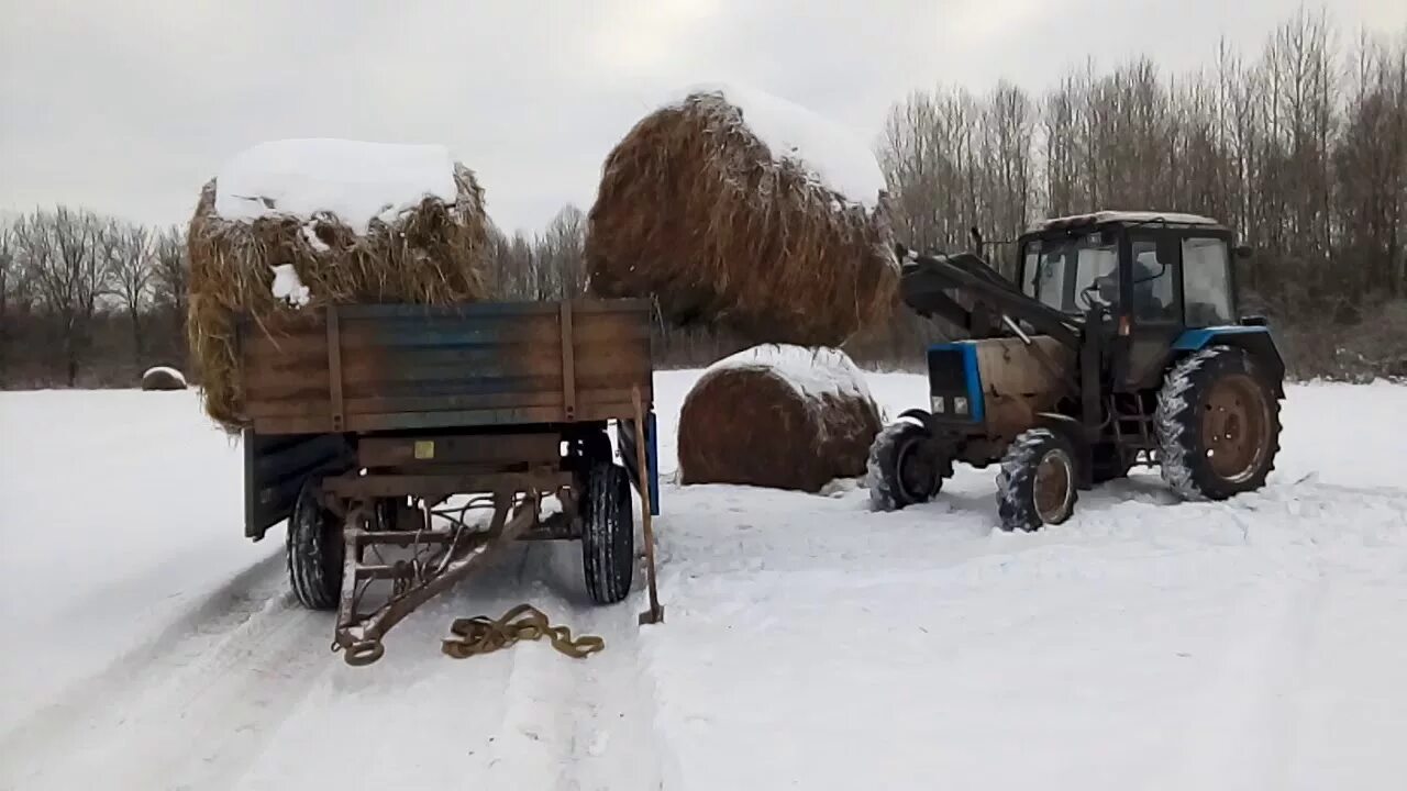 Мтз 82 тянет 82. Трактор мтз 80 возка соломы. трактор мтз 82.1 с куном с телегой. мтз 82.1 с куном и прицепом. мтз 82 зима.