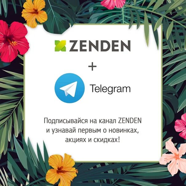 Режим работы магазина зенден. Зенден. Ликвидация зимней коллекции обуви. Моремолл сочи зенден. Режим работы магазина зенден.