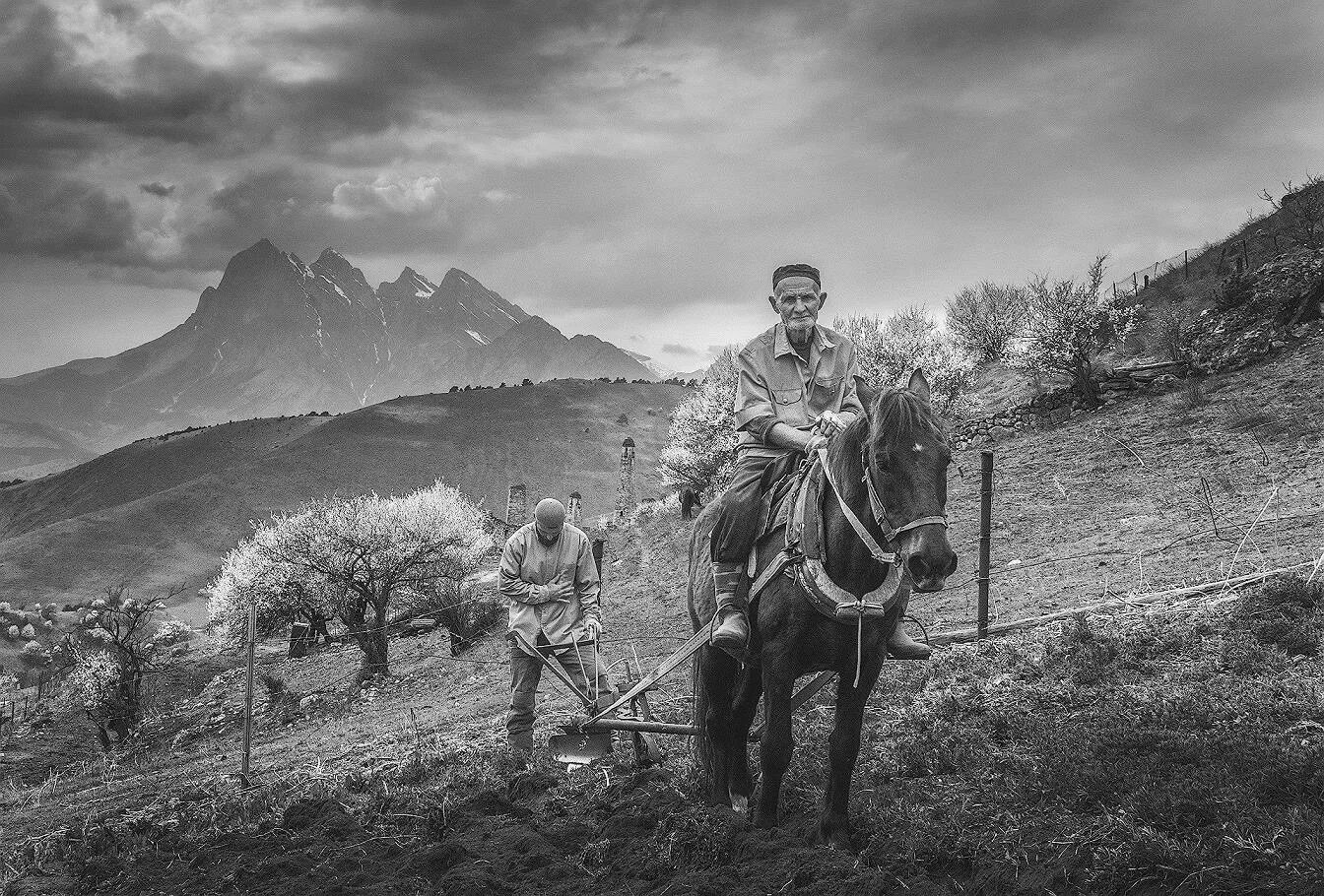 горцы дагестана лезгины. кабардино-балкария джигиты. горцы на конях в горах. погода горцы. дагестан горцы и традиции.