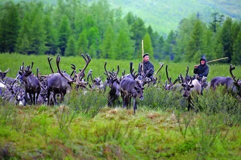Организации республики саха якутия