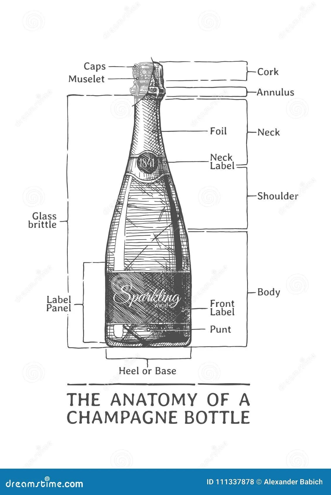 Чертеж бутылки шампанского. Размер бутылки шампанского. Размер шампанской бутылки. Диаметр бутылки шампанского.