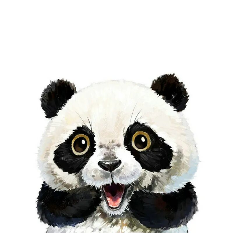 картина для интерьера панда. картина по номерам панда. пандочка картина по номерам. панда номер. панда картина.