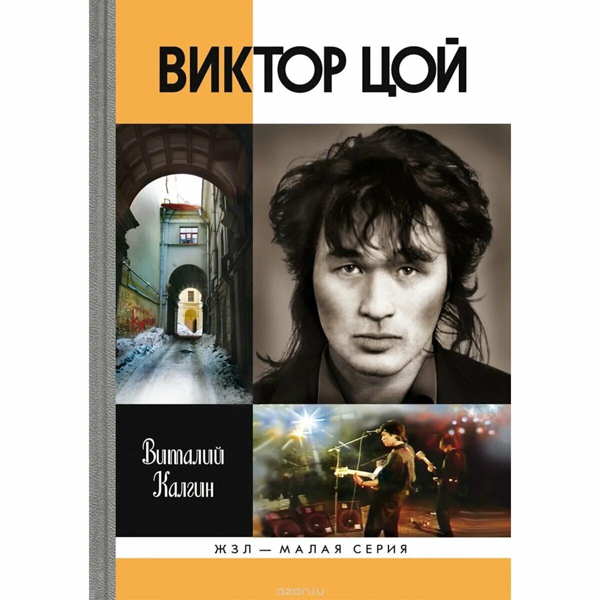 Сборник книг виктора