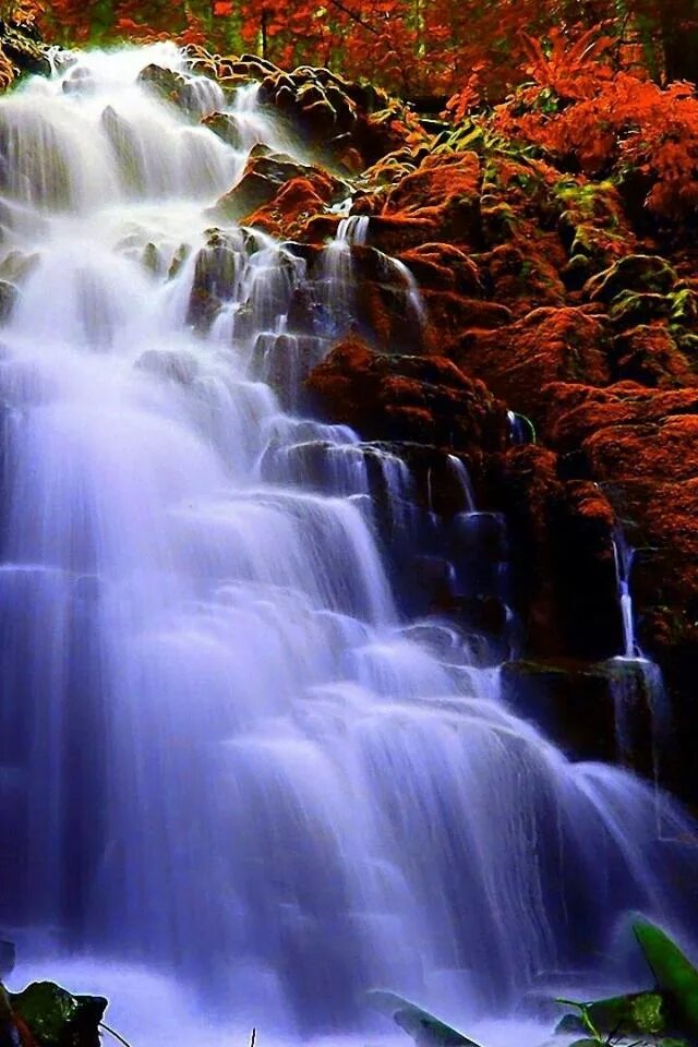 Водопады красивые и живые. Живые водопады. Живые водопады. Водопад палау. Живая природа водопады.