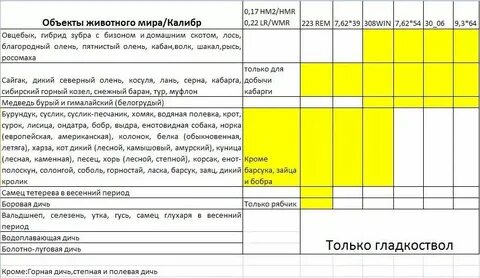 С каким калибром на кого охотиться