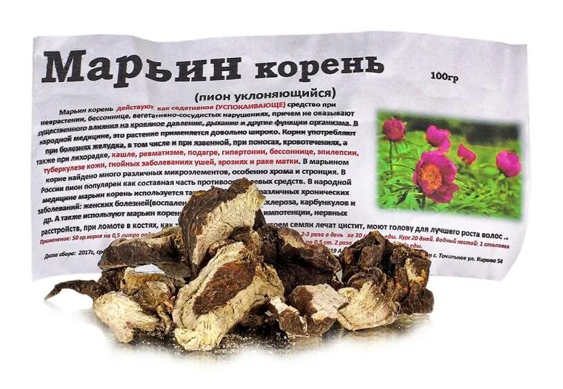 Пион для чего применяется. Марьин корень пион уклоняющийся лекарство. корневища и корни пиона уклоняющегося. пион уклоняющийся марьин корень сырье. пион уклоняющийся марьин корень лечебные свойства.
