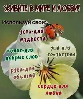 Добрый день умные пожелания