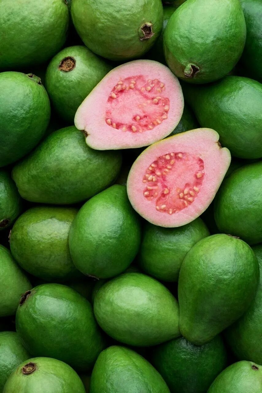 Красно зеленый фрукт. Фрукт с пупырышками. Тропическая гуава гуава тропическая. Питайя драконий красный. Гуава фрукт.