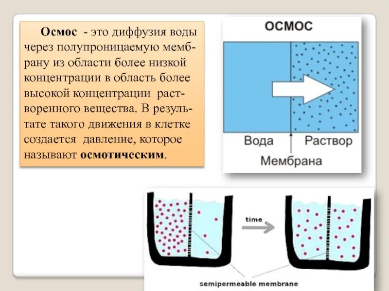 Диффузия что это