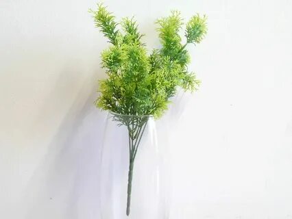 Букетная елочка для ботаника 9 букв