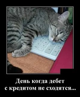 С кем не сходится