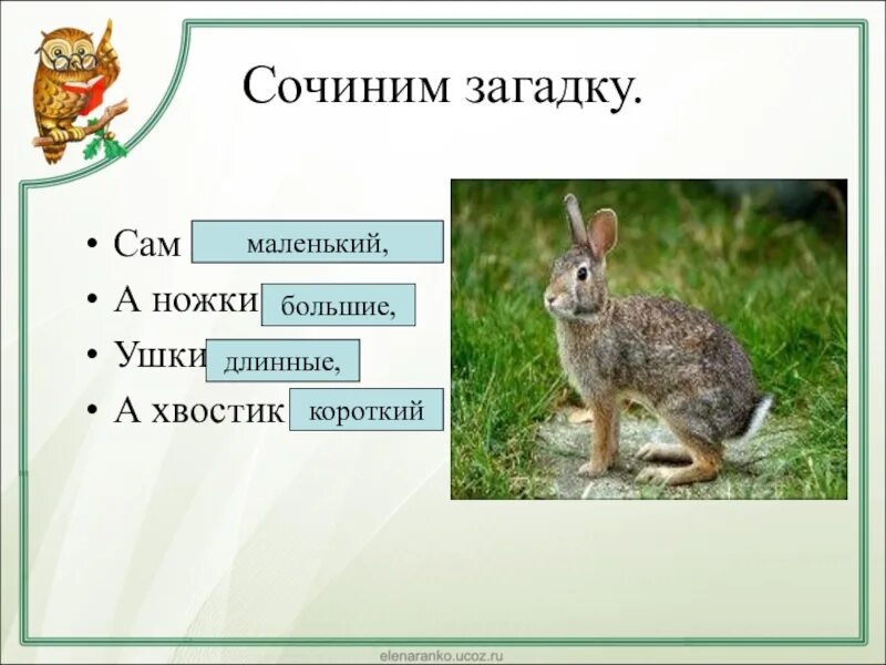 Загадки придумать самим 1. Придумать загадку. Сочинить загадку. Придумать загадку для первого классах. Загадки которые сочинили сами.