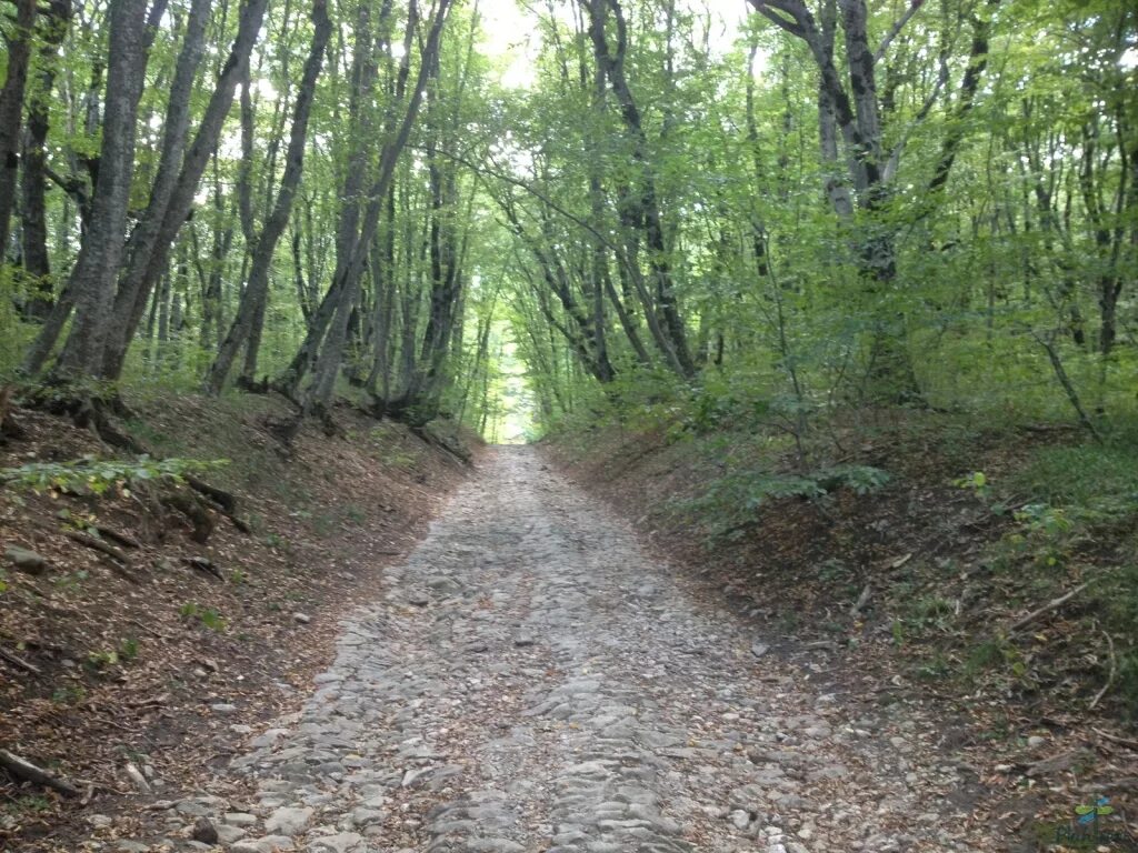 Гора терренкур. Гора железная терренкуры. Машук терренкур. Лермонтовский терренкур железноводск. Железноводск терренкур 1.