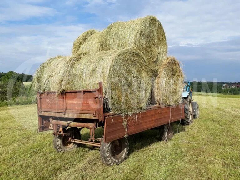 Сено тюкованное / 1 тюк = 20 кг. Сено 200 кг тюки. Тюк сена 400 кг. Сено в рулонах 200 кг.