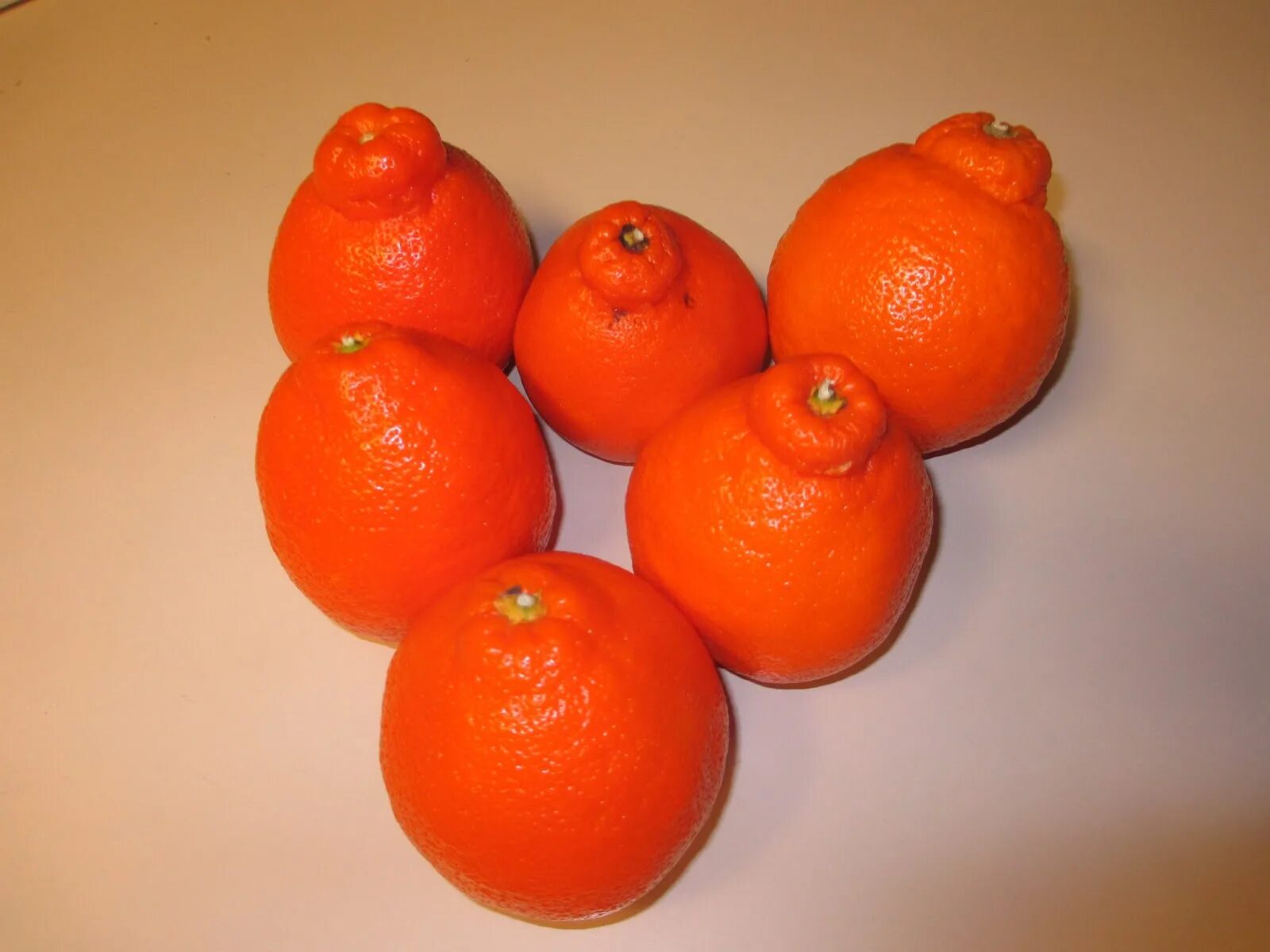 Минеола что за фрукт. Минеола фрукт. Мандарины Минеола. Сорт мандарин Минеола. Апельсин скрещенный с гранатом.