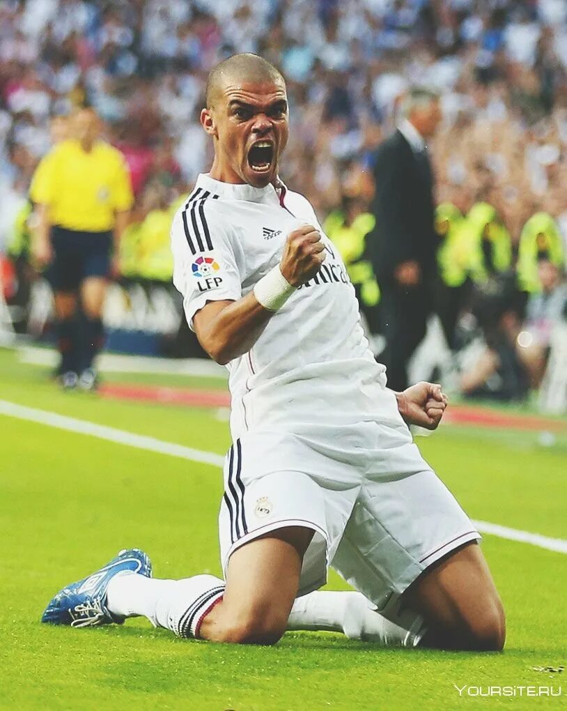 Пепе википедия. Пепе Реал Мадрид. Pepe футболист. Пепе футболист Реал Мадрид. Пепе футболист Португалия.