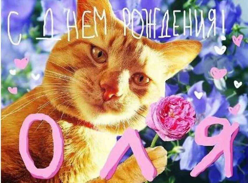 Поздравить олю. Аля с днем рождения. С днём рождения Оленька. Открытки с днём рождения Оля. Поздравления с днём рождения Оле.