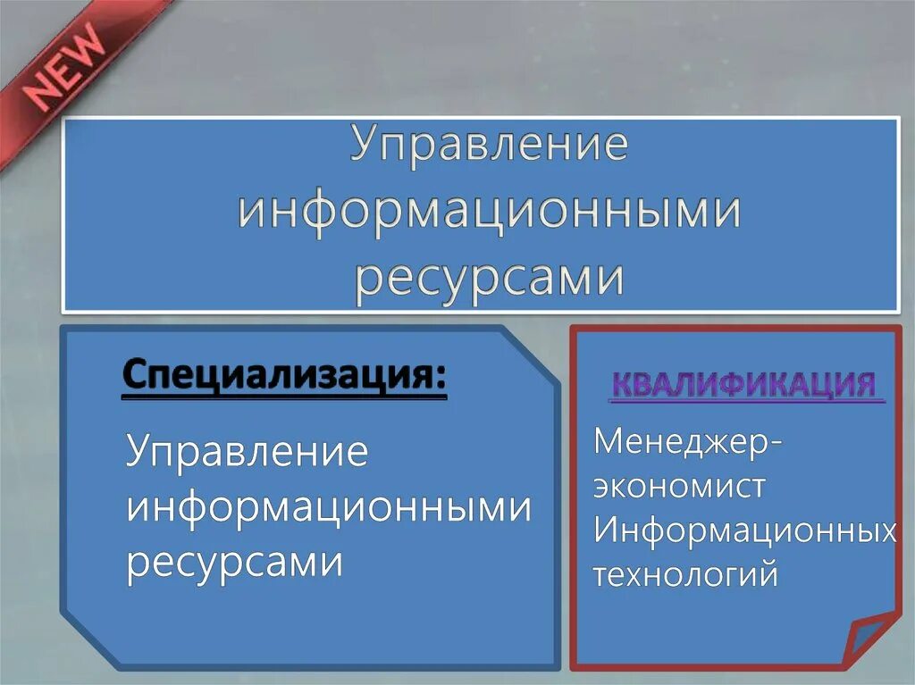 Информационные системы и ресурсы специальность